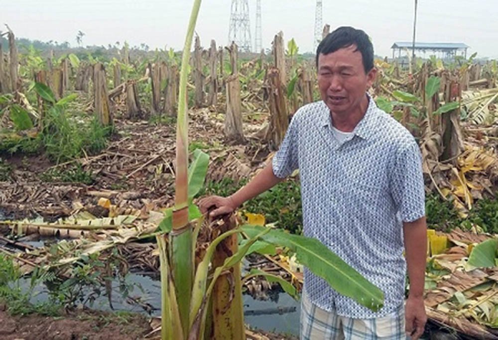 Công[-]an[-]thông[-]tin[-]vụ[-]hàng[-]nghìn[-]cây[-]chuối[-]bị[-]giang[-]hồ[-]chặt[-]phá